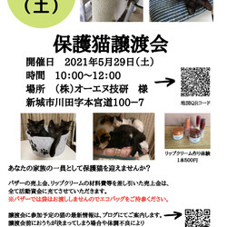 保護猫譲渡会in新城市