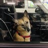 のぞみ