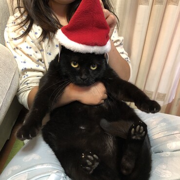 の写真