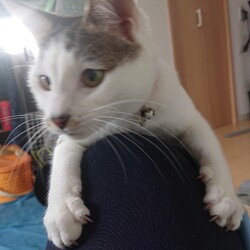 「生後１年１ヶ月」サムネイル1