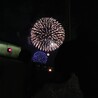 愛玲樹匠まま