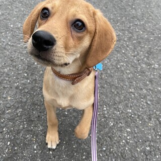 はっちゃけお転婆娘4ヶ月くらい