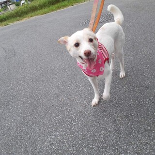 少しビビリ、穏やかな美人さん♡