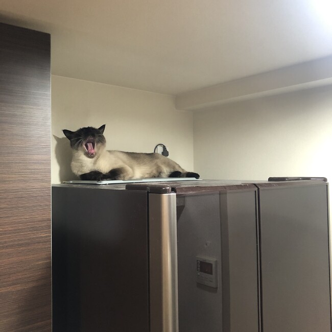 あーりすのカバー写真