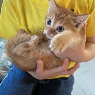 里親さま決まりました☆
