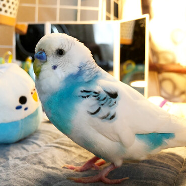 の写真