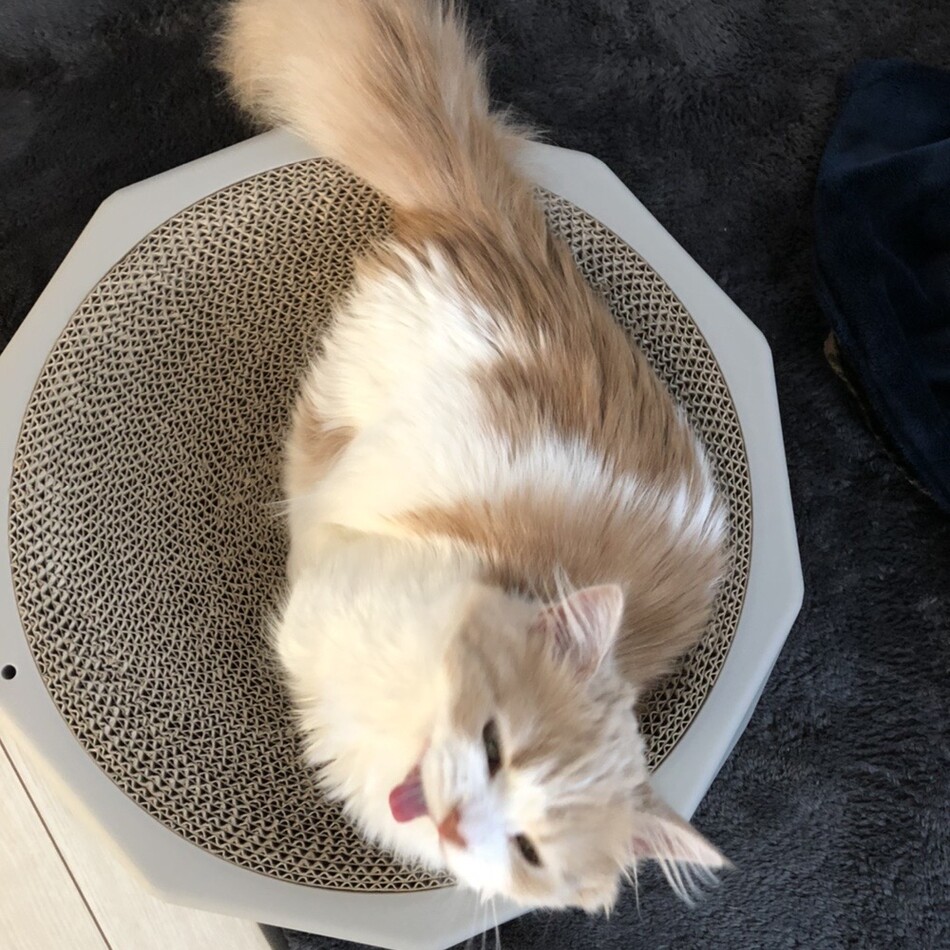 えとのカバー写真