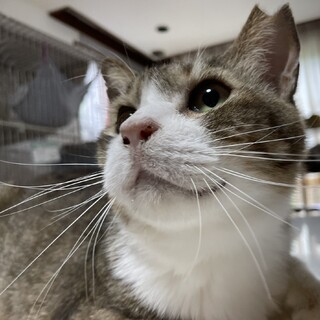 【じんじん】募集を終了しました。