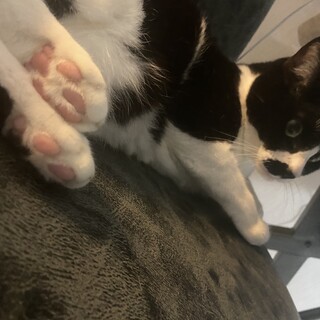 可愛い甘えん坊　2歳