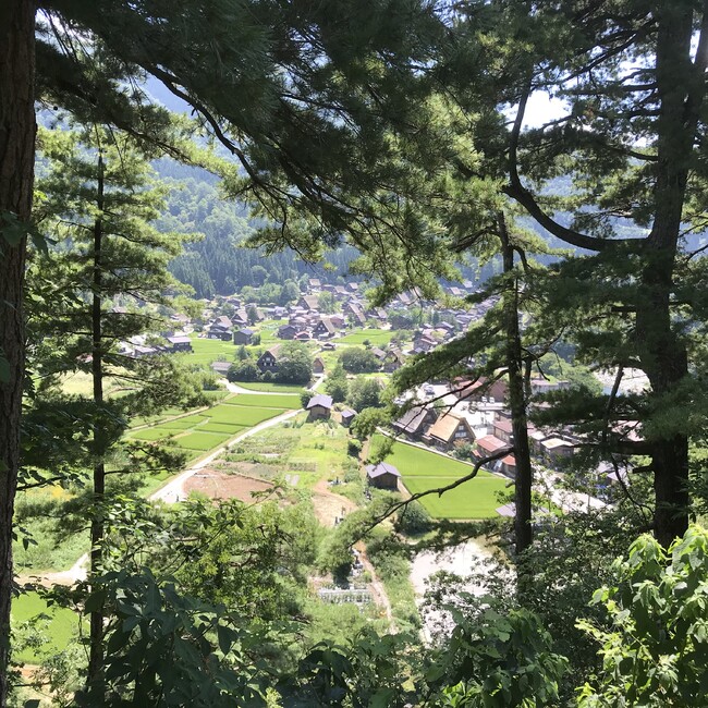 うえっこのカバー写真