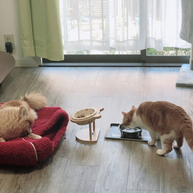 natsuyume1201のカバー写真