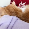 愛おし過ぎて苦しい   笑