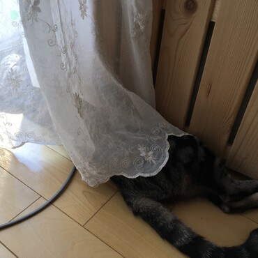 顔だけ日向ぼっこ♡