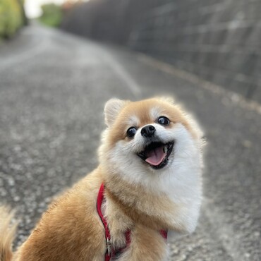 キラッキラ✨✨✨