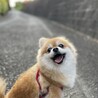 キラッキラ✨✨✨