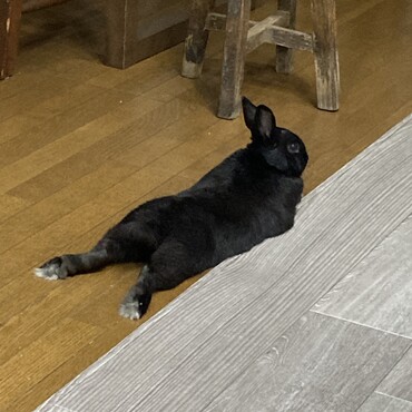 の写真