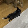 の写真