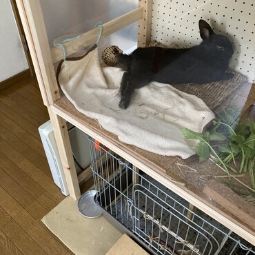 の写真