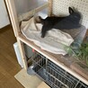 の写真