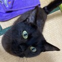 子育て頑張ったお母さん　あずきちゃん