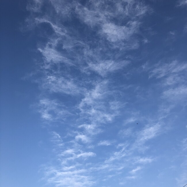 紋次郎育ての親のカバー写真