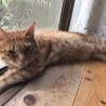 りんりんの母