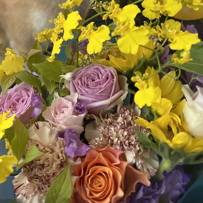 チームヴィーガンナオミのカバー写真