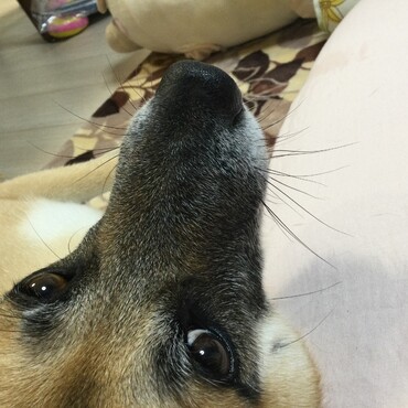 の写真