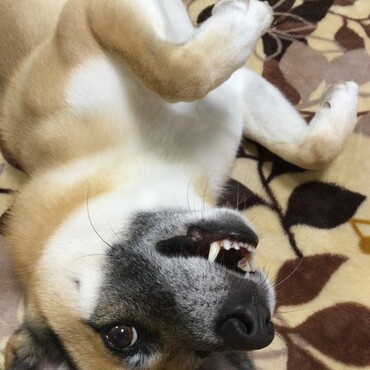 の写真