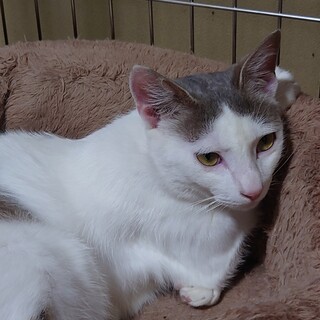 穏やか〜な男の子◇だいずくん◇