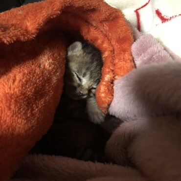 第一関門 200g突破