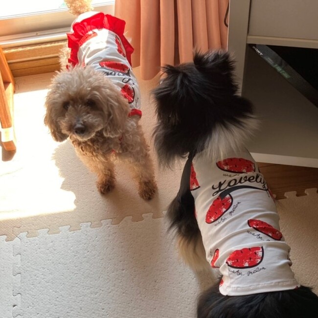 まある＆るなのカバー写真