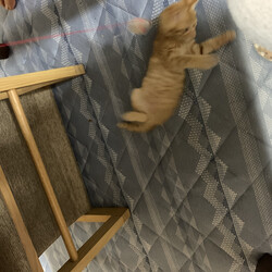 「二日目」サムネイル1