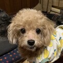 凄く甘えたな男の子♪
