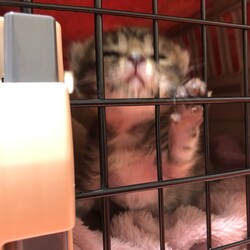 目が見えてきたのかな？