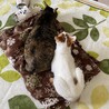 気がつくとピタリとくっつかれてるハルちゃんの図