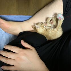 「おきたよ！」サムネイル2