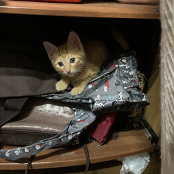 「おきたよ！」サムネイル3