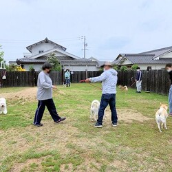 総社市ＡＷＡしつけ教室　＜雨天中止＞夏時間に変更です