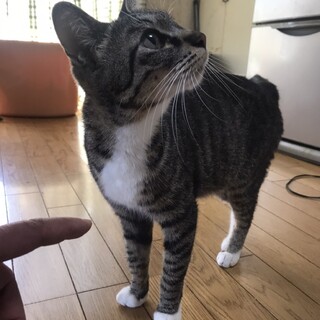 おっとり穏やかな「リリーちゃん」