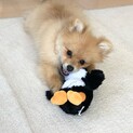応募者多数の為一旦締め切らせて頂きます。