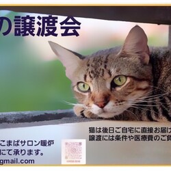 本気の譲渡会 サムネイル1