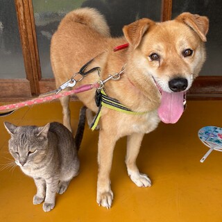 穏やかイケメン★レオ