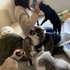 マフタク