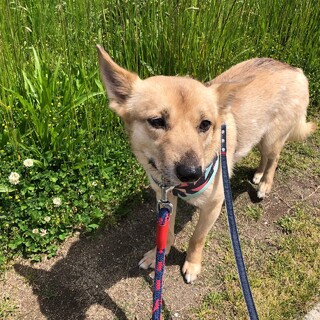 ちょっとビビりでシャイ、堪らなく愛おしいおぼろ君