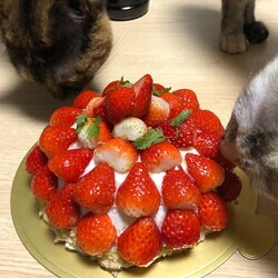 ケーキ