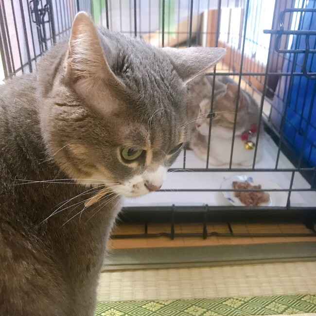 miparkleのカバー写真