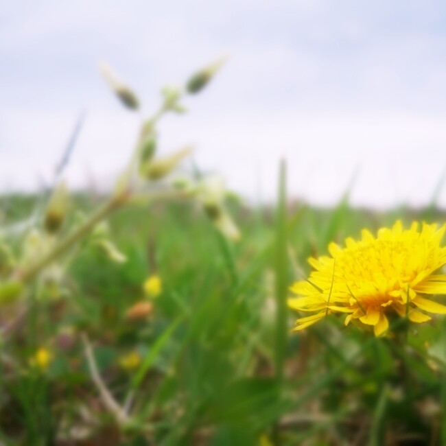 赤い眼鏡の事務員のカバー写真