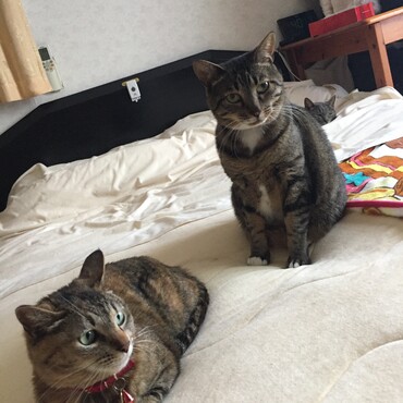 いつもいがみ合ってる２匹、本当は仲良し？？良くわかりません(^^;)