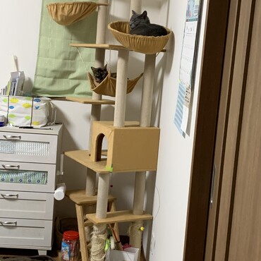 仲良し？